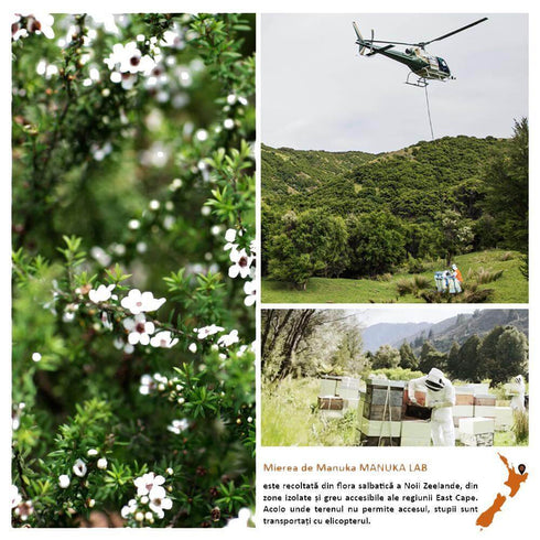 Miere de Manuka MANUKA LAB, MGO 300+ Noua Zeelanda, 500 g, naturala